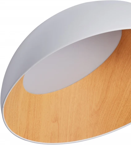 Потолочный светильник круглый светодиодный Zortes Baum ZRS.01201.19 (220V, круглые, IP21)