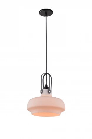 Подвесной светильник Arte Lamp Arno A3624SP-1WH
