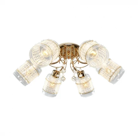 Потолочная люстра Максисвет 8880 1-8880-6-FG E14