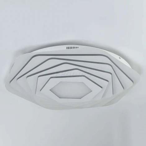 Потолочный светильник F-Promo Ledolution 2289-8C