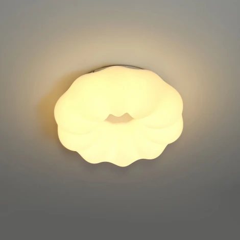 Потолочный светильник с пультом Zortes Soft ZRS.1118.2 (LED, 220V, цветы)