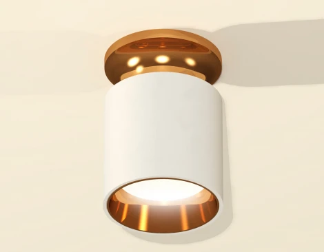 Накладной точечный светильник Ambrella Techno Spot XS6301181 (220V, круглые)