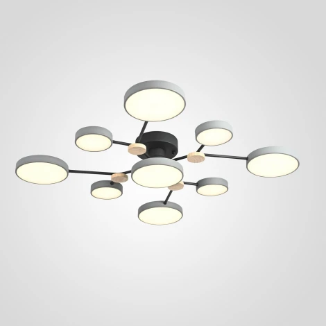 Потолочная люстра с пультом на штанге LED Lu Carte LC-11-1718