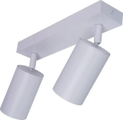 Потолочный светильник спот Brizzi Aras BR08084