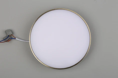 Потолочный светильник круглый Aployt Evon APL.0114.29.24 (LED, 220V, круглые)