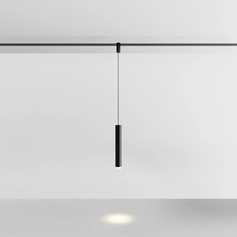 Трековый светильник с гибким неоном магнитный 5W 48V Maytoni Skim TR210-1-5W3K-M-B (LED, круглые)