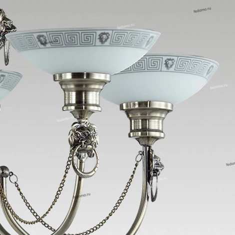 Подвесная люстра Odeon Light Rene 3213/5