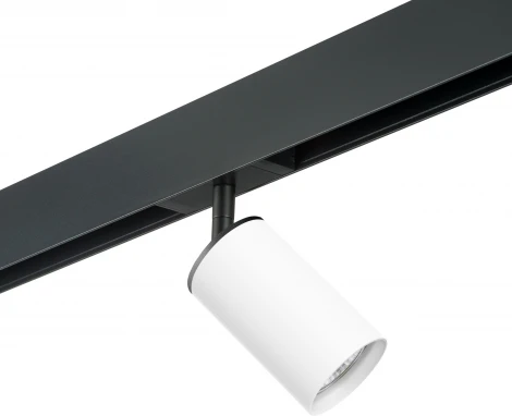 Трековый светильник однофазный 220V Lightstar Rullo PRO436 (круглые)