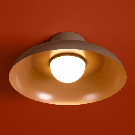 Потолочный светильник Freya Movement FR5602CL-L10BR