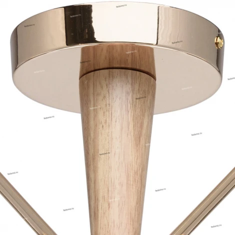 Потолочная люстра MW-Light Николь 364014105