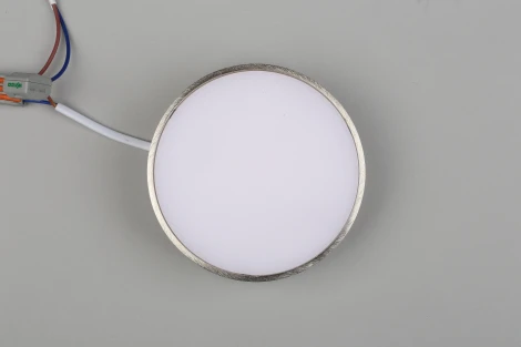 Потолочный светильник круглый Aployt Evon APL.0114.19.12 (LED, 220V, круглые)