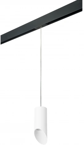 Трековый светильник однофазный 220V Lightstar Rullo PRORP43636 (круглые)