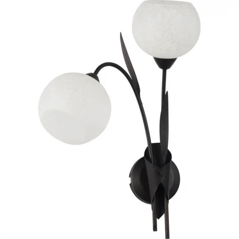 Бра Lussole Loft Bagheria GRLSF-6291-02 (220V, цветы, шарики, листья, IP21)