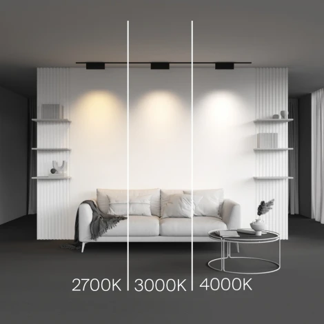 Трековый светильник Downlight магнитный 12W 24V Maytoni Points Rot TR194-1-12W3K-M-B (LED)