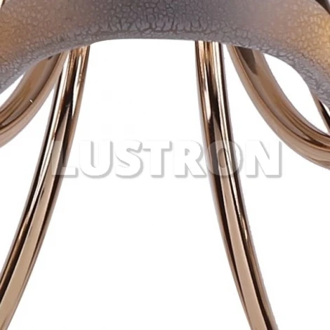 Потолочная люстра Arte Lamp Romola A8182PL-8WG