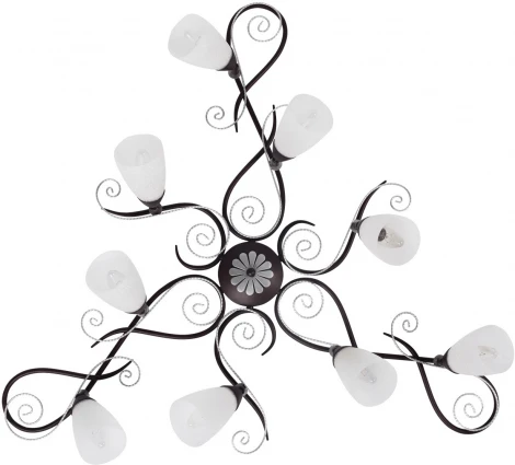 Потолочная люстра MW-Light Аида 323013209