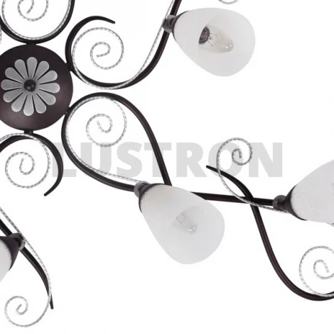 Потолочная люстра MW-Light Аида 323013209