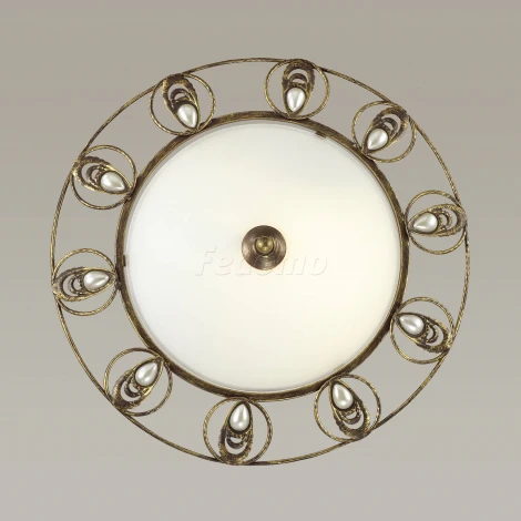 Настенно-потолочный светильник Odeon Light Kanti 3484/3C