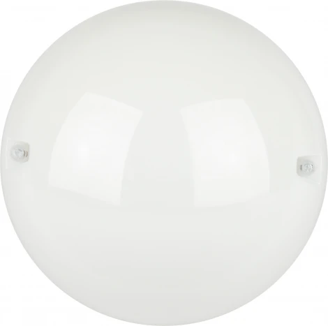 Настенно-потолочный светильник светодиодный ЭРА ДБП 06-12-012 (220V, круглые, IP54)