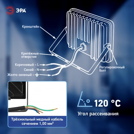 Прожектор уличный светодиодный ЭРА LPR-06 LPR-062-0-65K-030