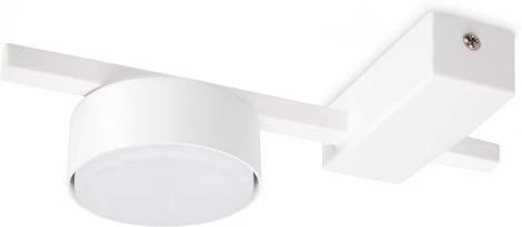 Потолочная люстра Freya Tactic FR5363CL-01W (220V, круглые)