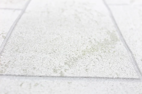 Обои виниловые Erismann Millennium 60016-02 10,05 x 1,06 м