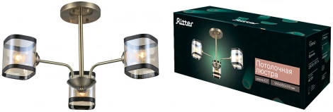 Потолочная люстра на штанге Ritter Torino 52551 6