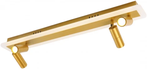 Спот Arte Lamp Tommy A2607PL-30GO (LED, 220V)