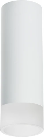 Точечный накладной светильник Lightstar Rullo R48631 (220V, круглые)