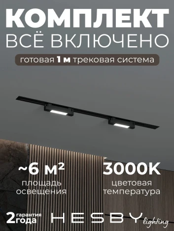 Трековая система в сборе встраиваемая однофазная 220V Hesby Lighting №1 однофазная накладная Skylite HSBL_kompl_S001_VI1B3K