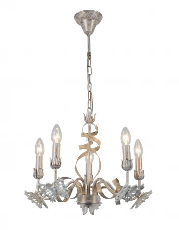 Подвесная люстра Arte Lamp Libellula A8626LM-5WG