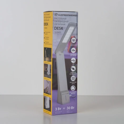 Офисная настольная лампа Elektrostandard Desk TL90450