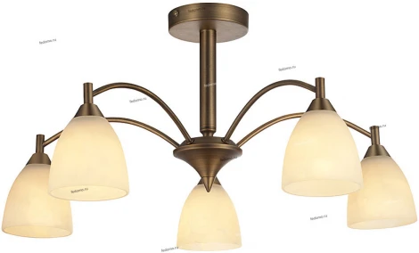 LuceSolara 2003 2003/5PL