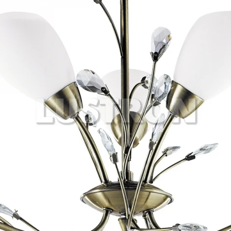 Подвесная люстра Arte Lamp Gardenia A2766LM-6AB