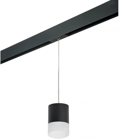 Трековый светильник однофазный 220V Lightstar Rullo PRORP348781 (круглые)