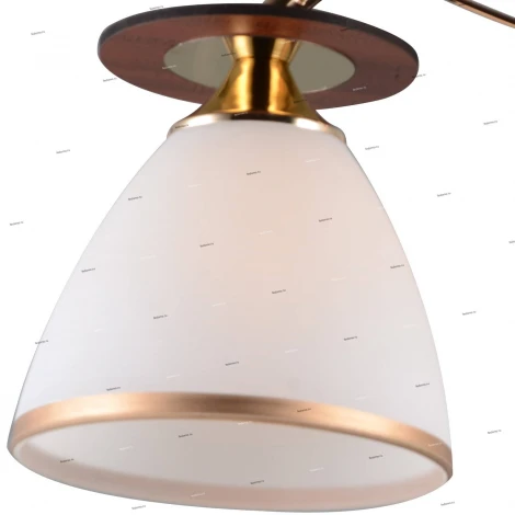 Потолочная люстра J-Light Eva 1504/2C