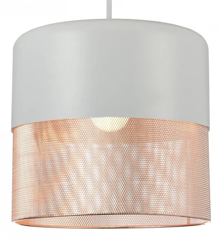 Подвесной светильник ST Luce Tondatto SL976.443.01