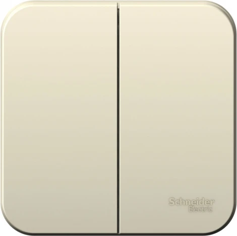 Выключатель накладной двухклавишный (молочный) Systeme Electric Blanca BLNVA065012