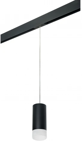 Трековый светильник однофазный 220V Lightstar Rullo PRORP648781 (круглые)