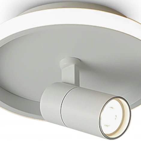 Потолочный светильник со спотом Freya Neo FR6040CL-L14W