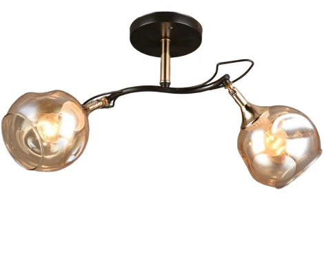 Потолочная люстра SS1N 000024865