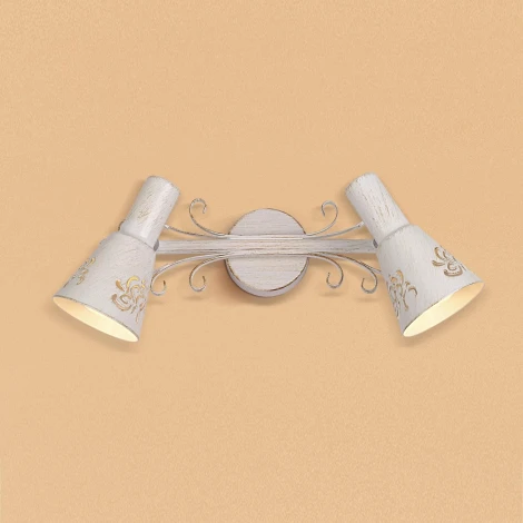 Спот Citilux Дункан CL529522