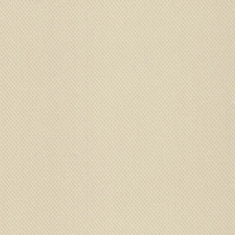 Обои виниловые Grandeco Dorina A44902 10,05 x 1,06 м