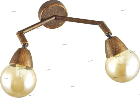 Спот Lumion Zianox 3596/2W
