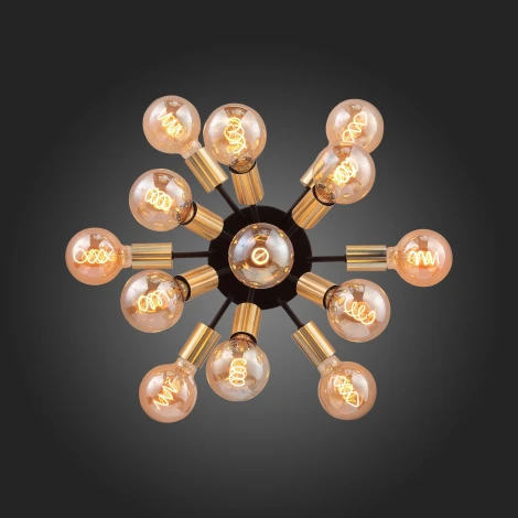 Потолочная люстра ST Luce Foglione SL437.402.13