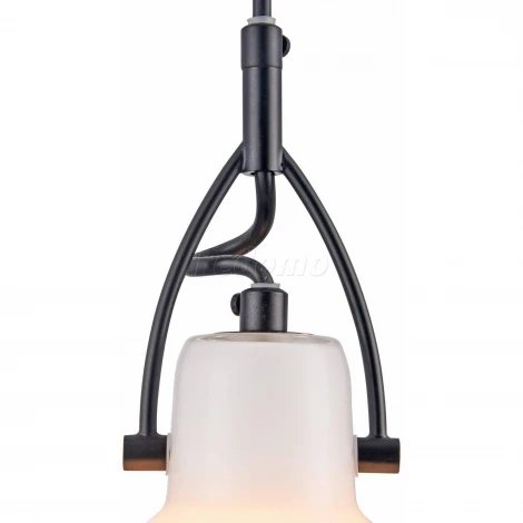 Подвесной светильник Maytoni Daniel MOD407-PL-01-B