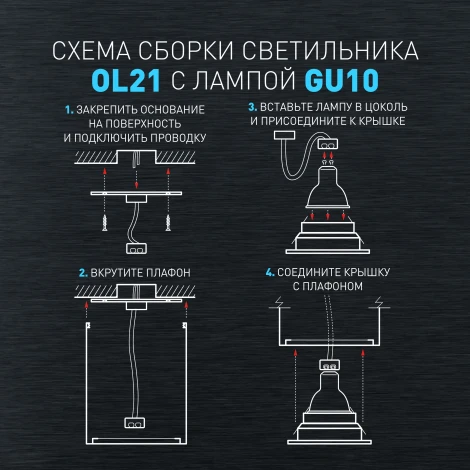Точечный светильник ЭРА OL21 BK (220V)