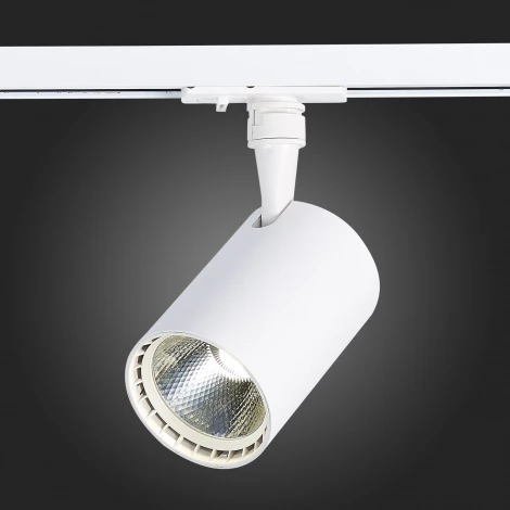 Трековый светильник ST Luce Cami ST351.536.15.24 (LED, 220V, круглые, IP22)