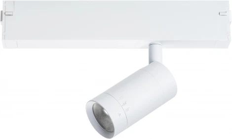 Трековый Wi-Fi светильник однофазный диммируемый Lightstar Teta 205016 (LED, 220V, пульт управления, управление смартфоном, умный дом - Tuya Smart, Smart Life, круглые)