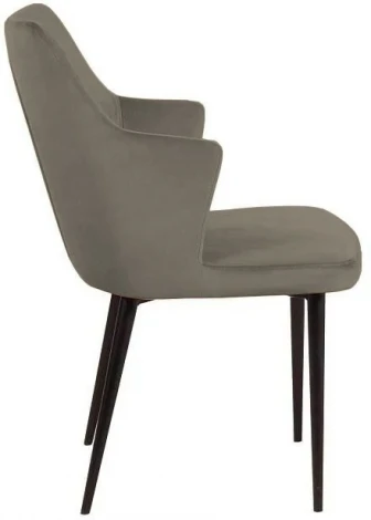 Стул с подлокотниками Top Concept Hunt, бархат 03 / черный конус